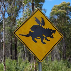Australische Schilderlehre Australische Schilderlehre