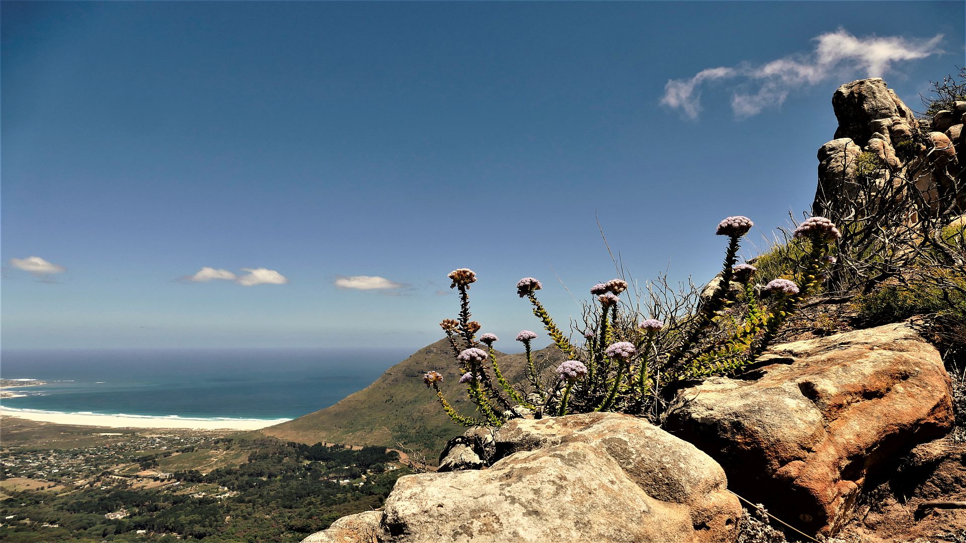 Wandern in Afrika, Südafrika, Kapregion, Table Mountain National Park