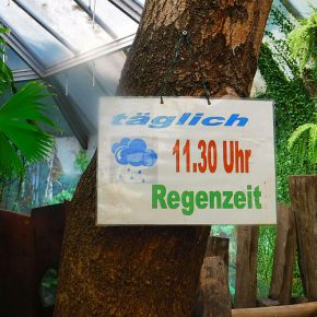 Sommer in LE Sommer in LE