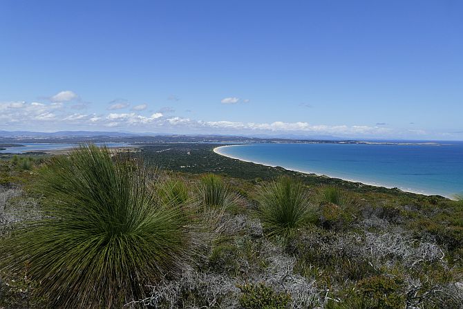 Vom Archers Knob hat man einen fantastischen Blick über die Nordküste Tasmaniens.