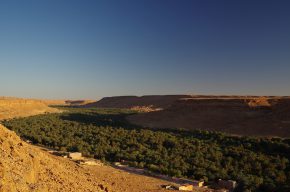 Dutzende von Kilometern zieht sich die grüne Oase durch das Tal des Oued Ziz.