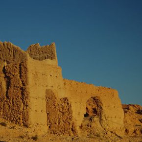 Zurück in Afrika Zurück in Afrika