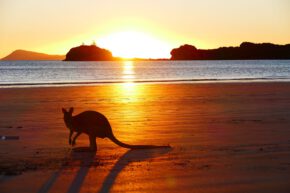 S007 Sonnenaufgang am Kängurustrand/Australien