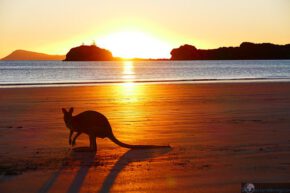 Sonnenaufgang am Kängurustrand/Australien