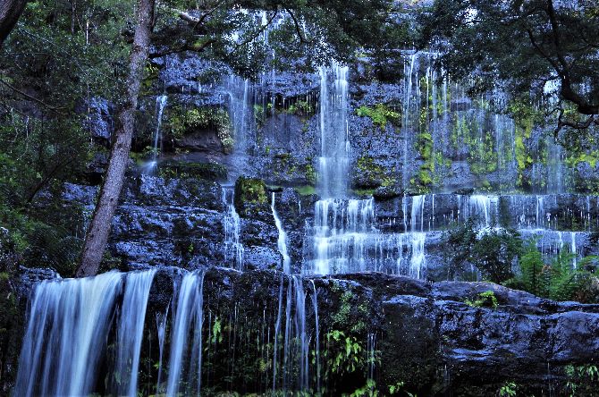 absolut sehenswert: Die Russell Falls mitten im Regenwald