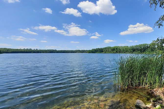 Aus den Tagebaurestlöchern entstehen malerische Seen, wie hier die Schädemulde bei Luckenau