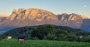 Blick auf den Schlern