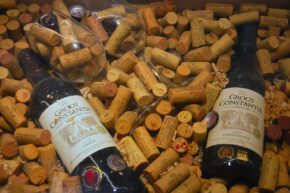 Im ältesten Weingut Südafrikas war schon Napoleon guter Kunde.